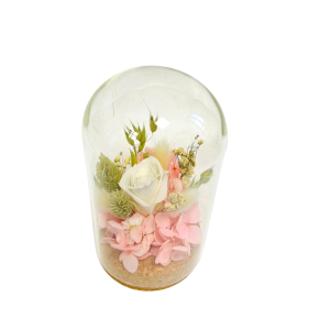 CAMPANA COMPOSIZIONE ROSA STABILIZZATA D8 H15 bianco (Cod. 42455-01)