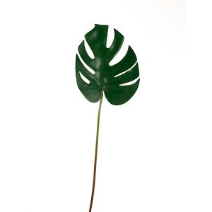 FOGLIA MONSTERA VERDE (Cod. 42554-01)