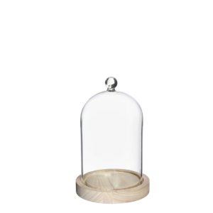 CAMPANA DI VETRO CON POMELLO CON BASE LEGNO D12 H19  (Cod. 42540-01)