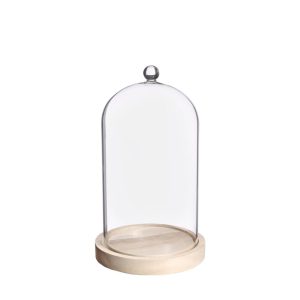 CAMPANA DI VETRO CON POMELLO CON BASE LEGNO D14 H24  (Cod. 42541-01)