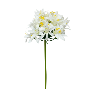 SINGLE AGAPANTHUS 70 CM bianco (Cod. 40554-02)