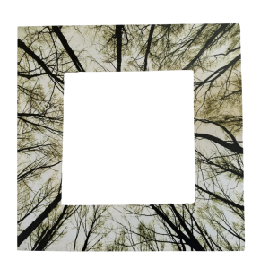 QUADRO STAMPA BOSCO  (Cod. 17046-01)
