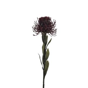 MIRATRADE RAMO PROTEA D11 H60 CM burgundy (Cod. 42141-01)