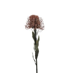 MIRATRADE RAMO PROTEA D11 H60 CM corallo (Cod. 42141-03)