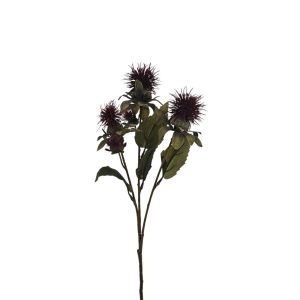 MIRATRADE RAMO DRY CARTAMUS X5 FIORI 16X12 H57 CM burgundy (Cod. 42142-01)