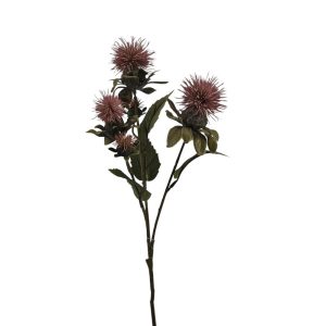 MIRATRADE RAMO DRY CARTAMUS X5 FIORI 16X12 H57 CM rosa-chiaro (Cod. 42142-02)
