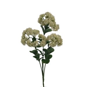 MIRATRADE RAMO CRASSULA X3 FIORI 18X12 H56 CM crema (Cod. 42144-01)