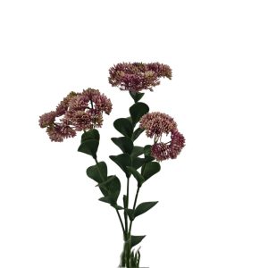 MIRATRADE RAMO CRASSULA X3 FIORI 18X12 H56 CM rosa (Cod. 42144-03)