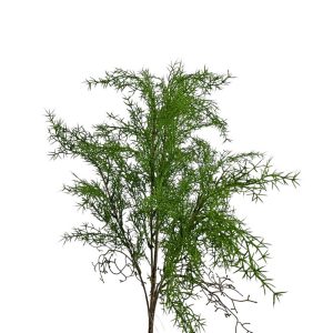 MIRATRADE RAMO SPRINGERI H61 CM verde (Cod. 42603-01)
