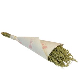 AVENA NATURALE (Cod. 37903-01)
