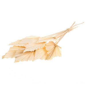 RAMO PALMA 10 PZ bianco-sbiancato (Cod. 41780-03)