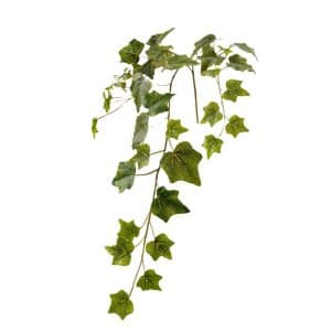 RAMO EDERA X39 FOGLIE REAL TOUCH verde (Cod. 22951-01)