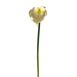 RAMO CALLA CM55  (Cod. 27982-01)