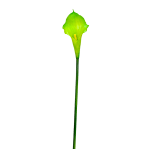 CALLA PICCOLA ELITE H55 CM  (Cod. 3015-01)