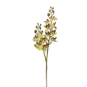 RAMO ORCHIDEE X12 60 CM  (Cod. 39607-04)