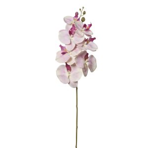 RAMO ORCHIDEA X7 FIORI 16X16X72 CM rosa-chiaro (Cod. 40301-05)