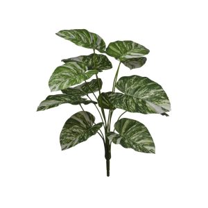 MAZZO PHOTOS X12 H60 CM variegato (Cod. 42659-02)