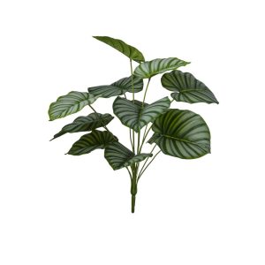 MAZZO CALATHEA X12 H60 CM verde (Cod. 42660-01)