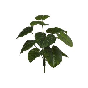 MAZZO PHOTOS X12 H60 CM verde (Cod. 42659-01)