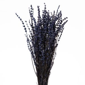 LAVANDA STABILIZZATA 150 GR  (Cod. 42629-01)