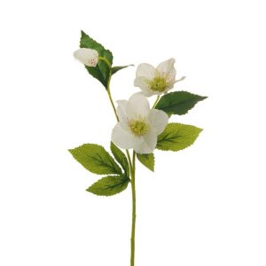 RAMO HELLEBORO CON 2 FIORI 1 BOCCIOLO 57 CM crema (Cod. 30069-03)