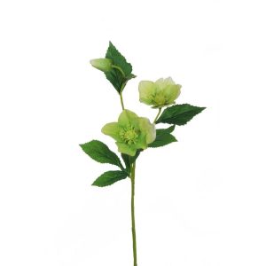 RAMO HELLEBORO CON 2 FIORI 1 BOCCIOLO 57 CM verde (Cod. 30069-02)