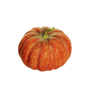 ZUCCA DECORATIVA D21 H17,5 CM arancione (Cod. 42781-01)