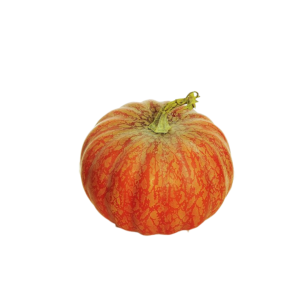 ZUCCA DECORATIVA D17 H15,5 CM arancione (Cod. 42783-01)
