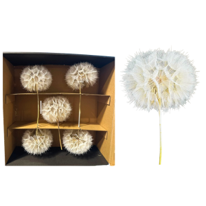 5 PZ. SOFFIONE DANDELION H35 D11/13 CM (Cod. 42665-01)