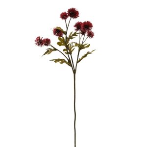 RAMO POMPOM CARDO X9 H55 CM bordeaux (Cod. 42674-04)