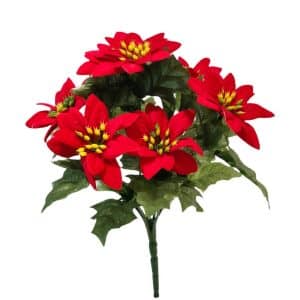 BUSH POINSETTIA STELLA NATALE CM26 rosso (Cod. 27297-01)