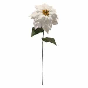 STELLA DI NATALE SPRAY SINGOLA 70 CM  crema (Cod. 24548-02)