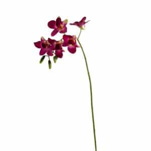 ORCHIDEA SINGAPORE DENDROBIUM 5 FIORI 3 BOCCIOLI 58CM naturale (Cod. 22267-02)