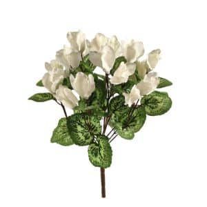 BUSH CICLAMINI X14 crema (Cod. 30064-03)