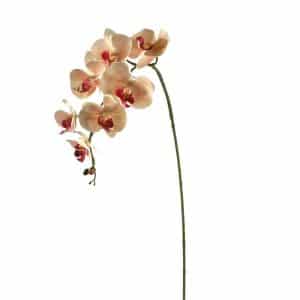 RAMO ORCHIDEA 72CM rosa (Cod. 30478-01)