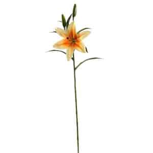 RAMO LILIUM CM75 arancio (Cod. 30347-02)