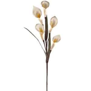 CALLA IN FOAM CM 102 avorio (Cod. 33399-03)