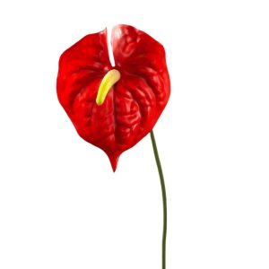 RAMO ANTHURIUM CM 72 rosso-naturale (Cod. 33513-08)