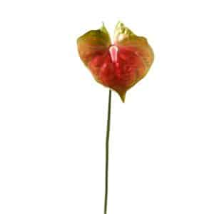 RAMO ANTHURIUM CM 72 verde-rosa (Cod. 33513-09)