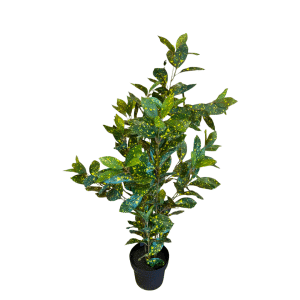 [88] PIANTA DAPHNE 230 FOGLIE IN VASO H88 CM  (Cod. 42675-02)