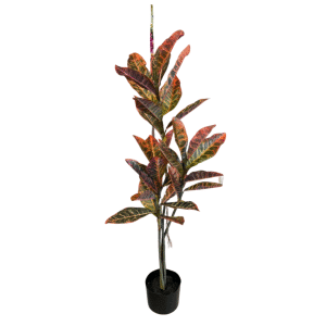 [100] PIANTA CROTON X4 32 FOGLIE IN VASO H100 CM  (Cod. 42677-01)
