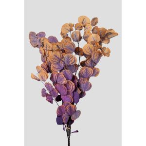 EUCALIPTO/POPULUS STABILIZZATO DUAL BLOOM H60-75 CM  (Cod. 41440-01)