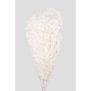 MINI GYPSOPHILA STABILIZZATA H40 CM 80GR bianco (Cod. 42682-01)