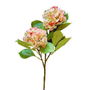 RAMO ORTENSIA X2  rosa-verde (Cod. 42557-01)