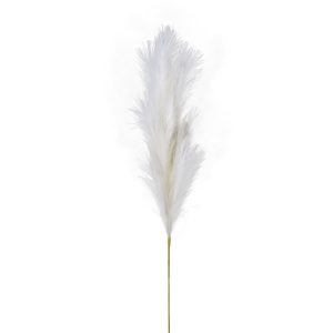 RAMO PAMPAS CM 110 crema (Cod. 38343-01)